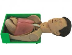 透明洗胃、胃腸減壓仿真標準化病人